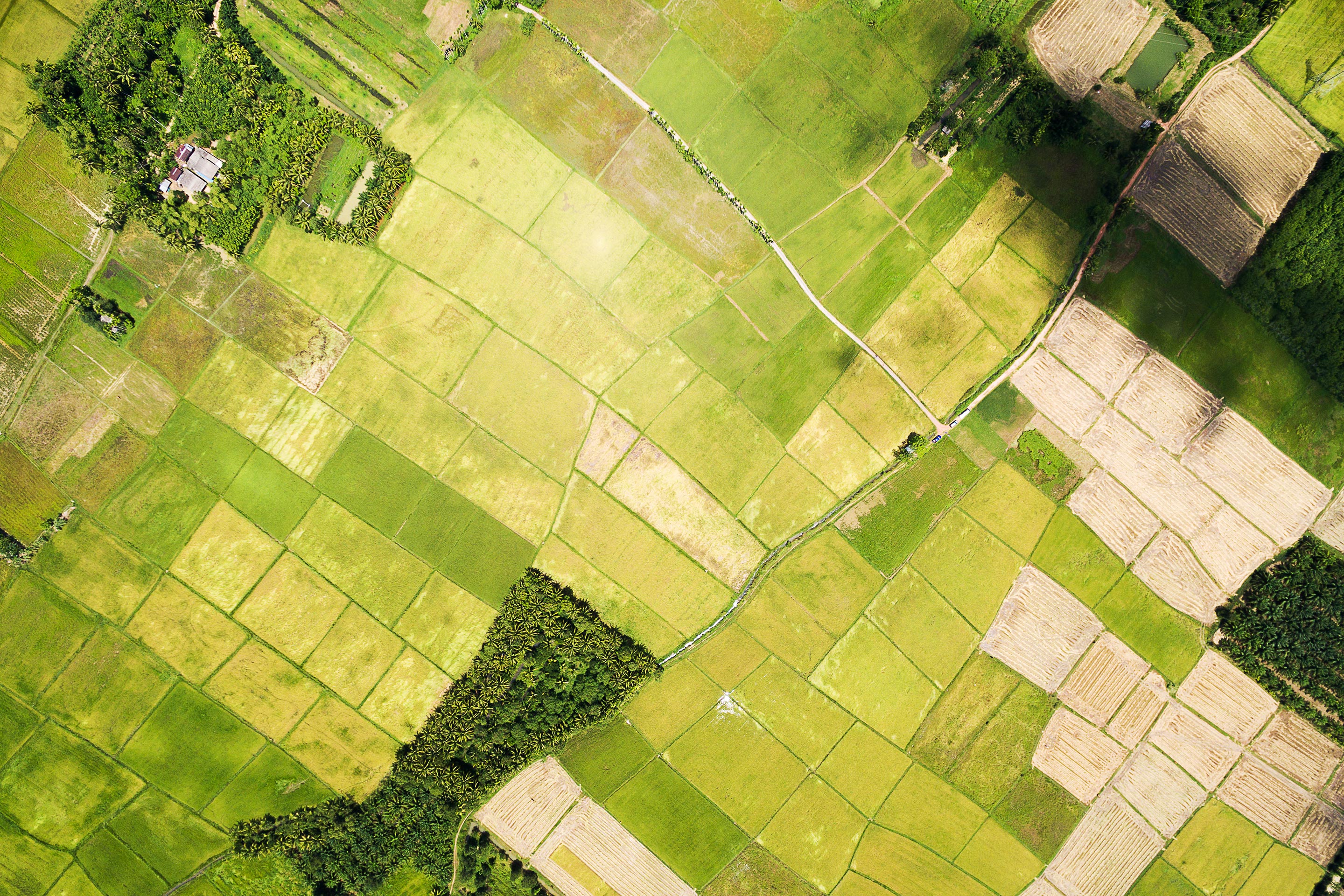 communities-farmland