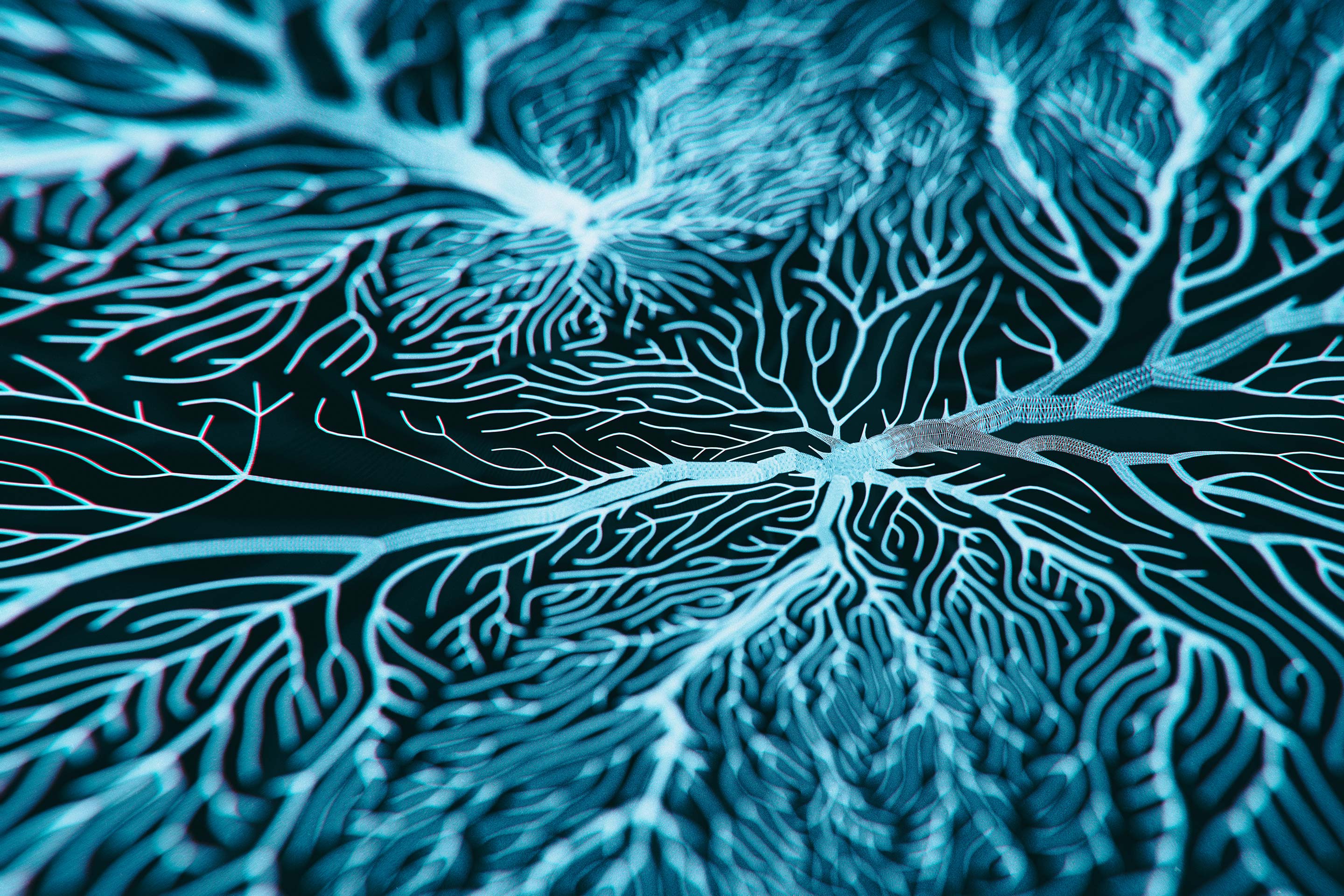 Electric blue coral branches out across a black background, expressing our connections to each other