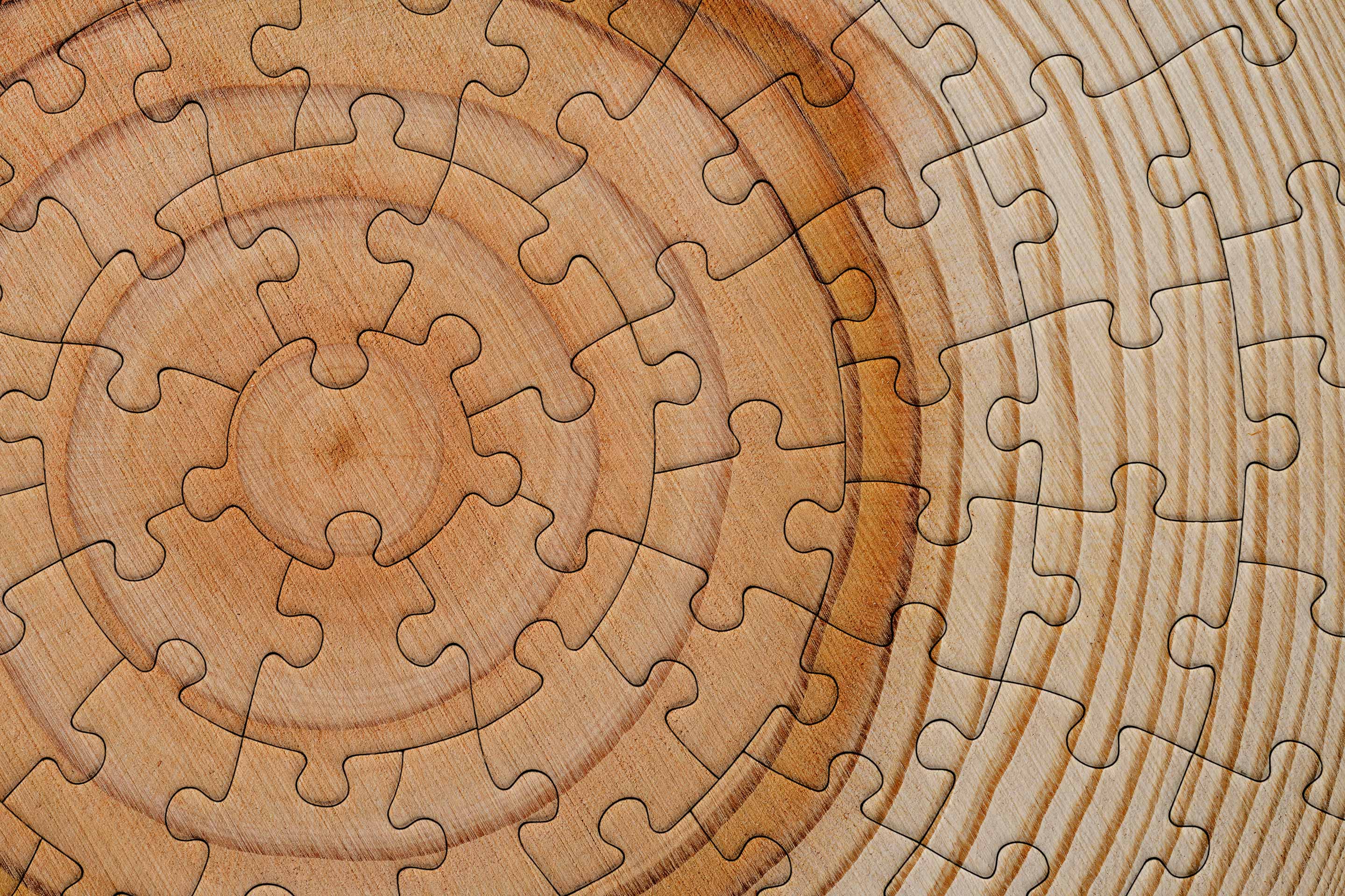 Circular puzzle pieces connect to form the rings of a tree stump, we are all connected.
