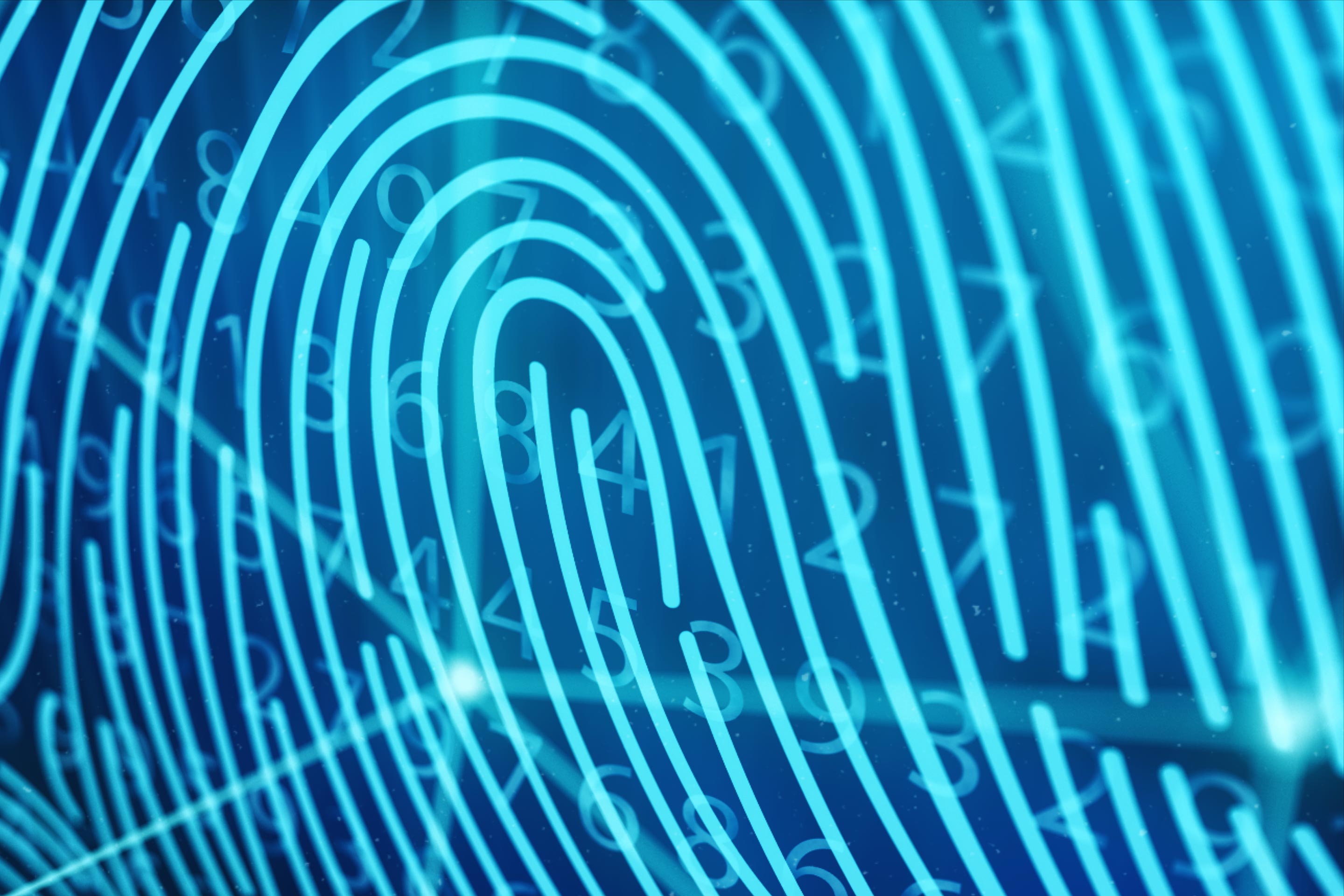Bold blue computer-generated lines curve like fingerprints on a backlit transparency. Behind them, rows of numbers appear to scroll by.