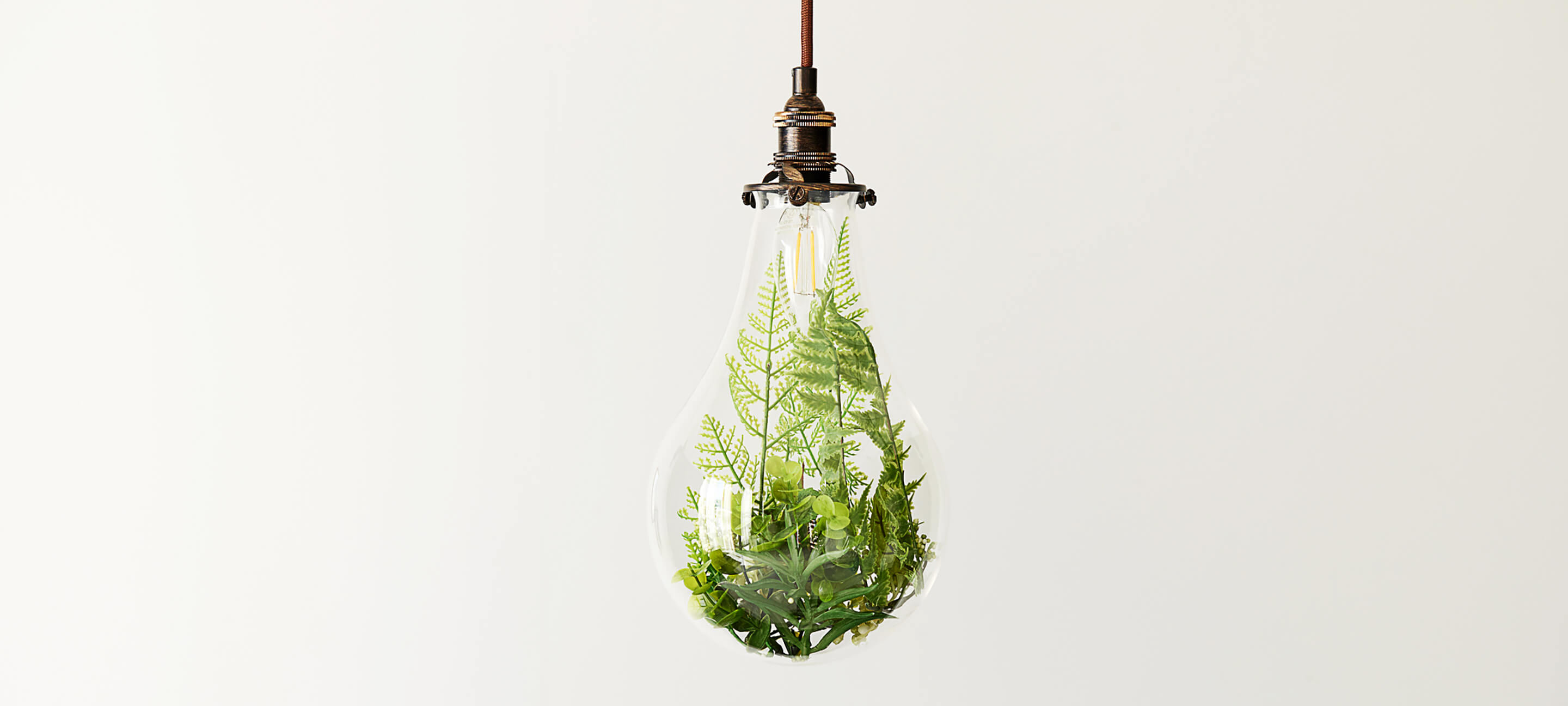 An electric light bulb contains an ecosystem of green foliage.