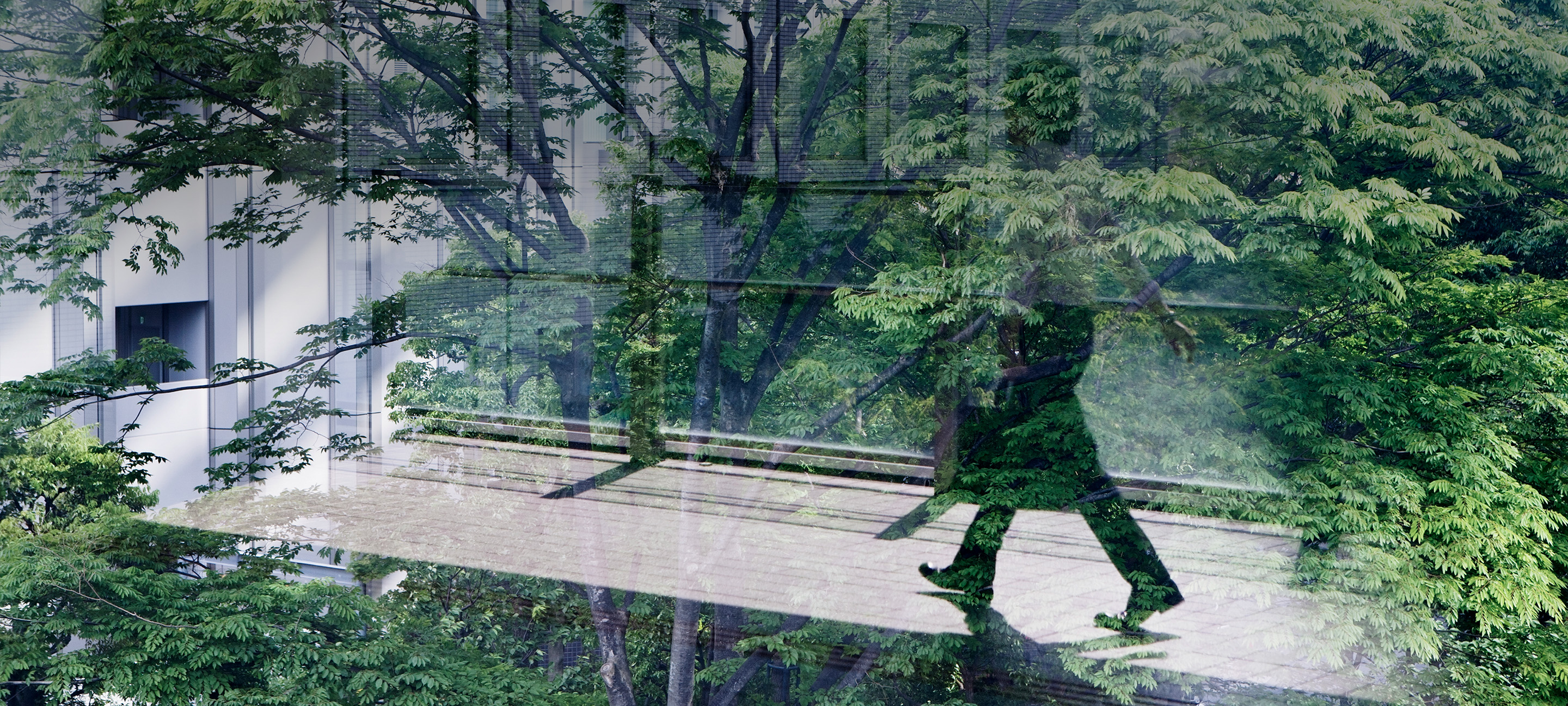 Reflection of people and trees