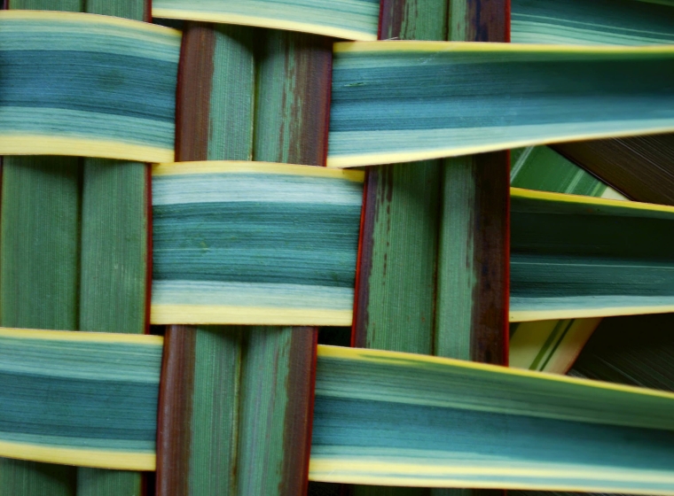 Woven leaves representing connection.