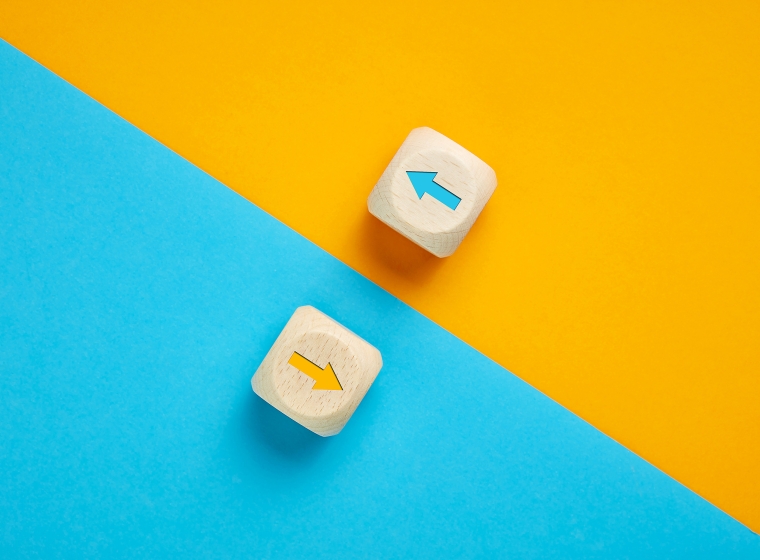 Yellow and blue arrows on wooden blocks sit on opposite color sections representing adaptability.