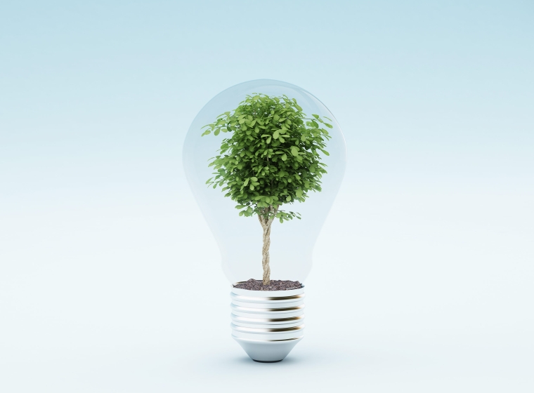 A clear lightbulb with a lush green tree shows us how our ideas can create more sustainability.