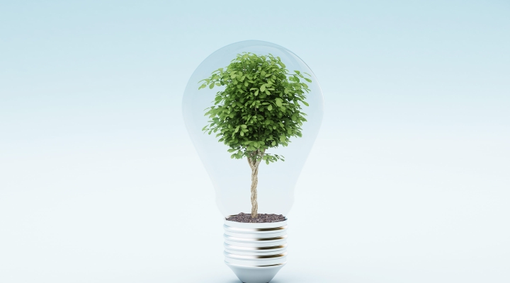 A clear lightbulb with a lush green tree shows us how our ideas can create more sustainability.