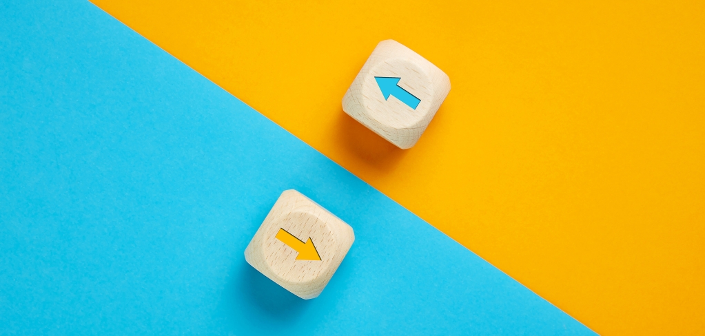 Yellow and blue arrows on wooden blocks sit on opposite color sections representing adaptability.