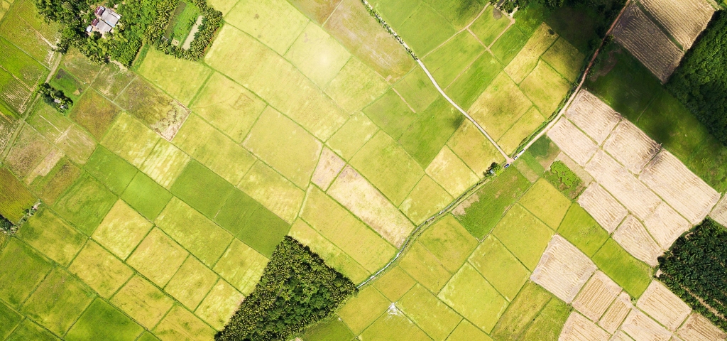 Green blocks of different shades, farmland from above, create a patchwork of communities.