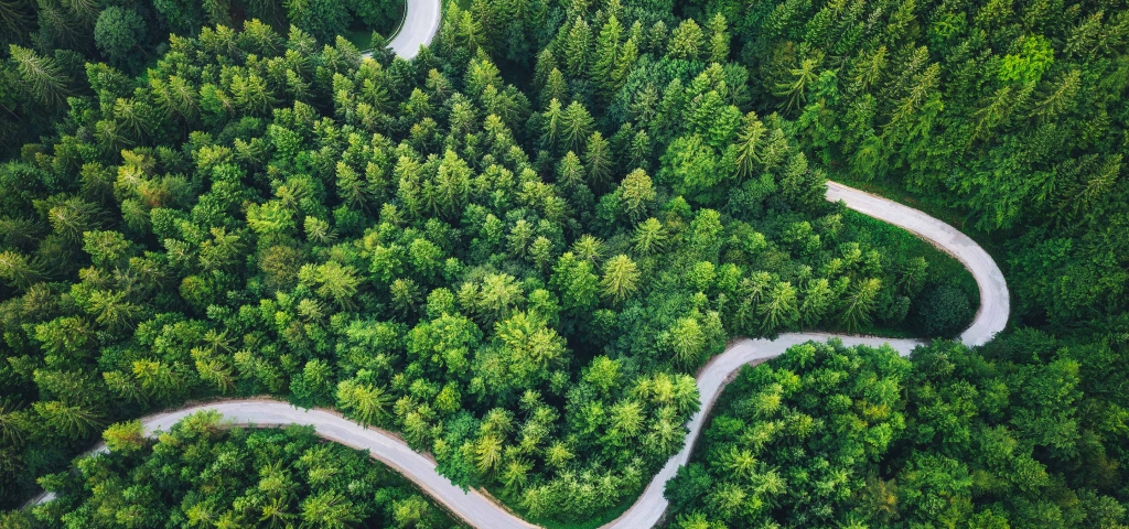 An overhead shot of a winding road in a forest as a metaphor for considering investment goals