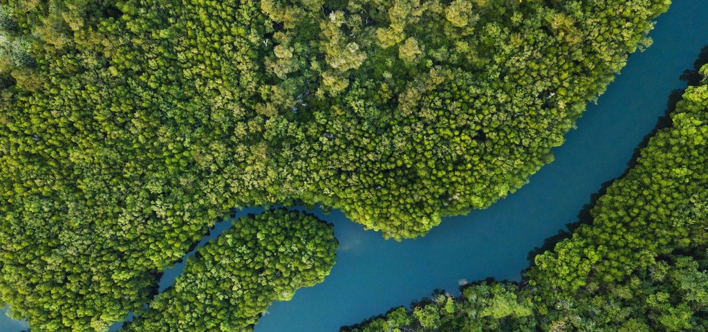 An overhead image of a river winding through a forest, as a metaphor for connecting investment goals