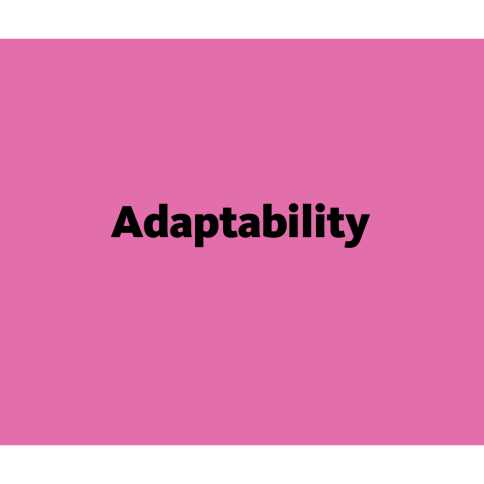 The word Adaptability overlaid on a bright pink background