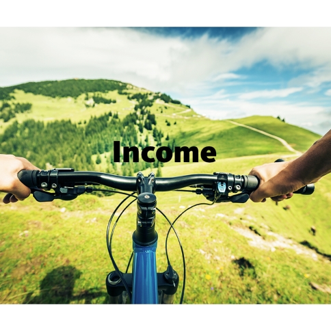 Two hands grip mountain bike handle bars overlooking green rolling hills from the viewpoint of the rider, overlaid with word Income.